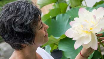 poza in Japonia cu floare de lotus